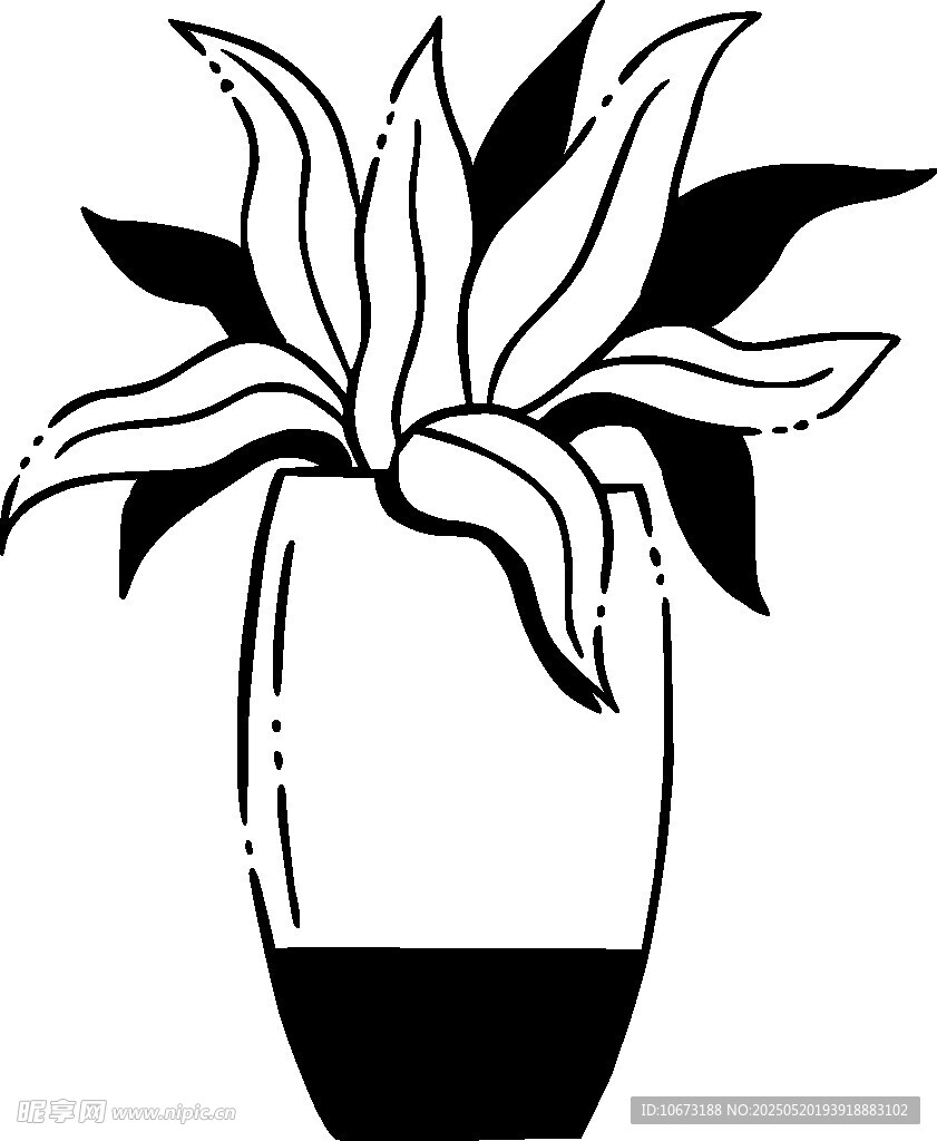 黑白花瓶中的植物插画