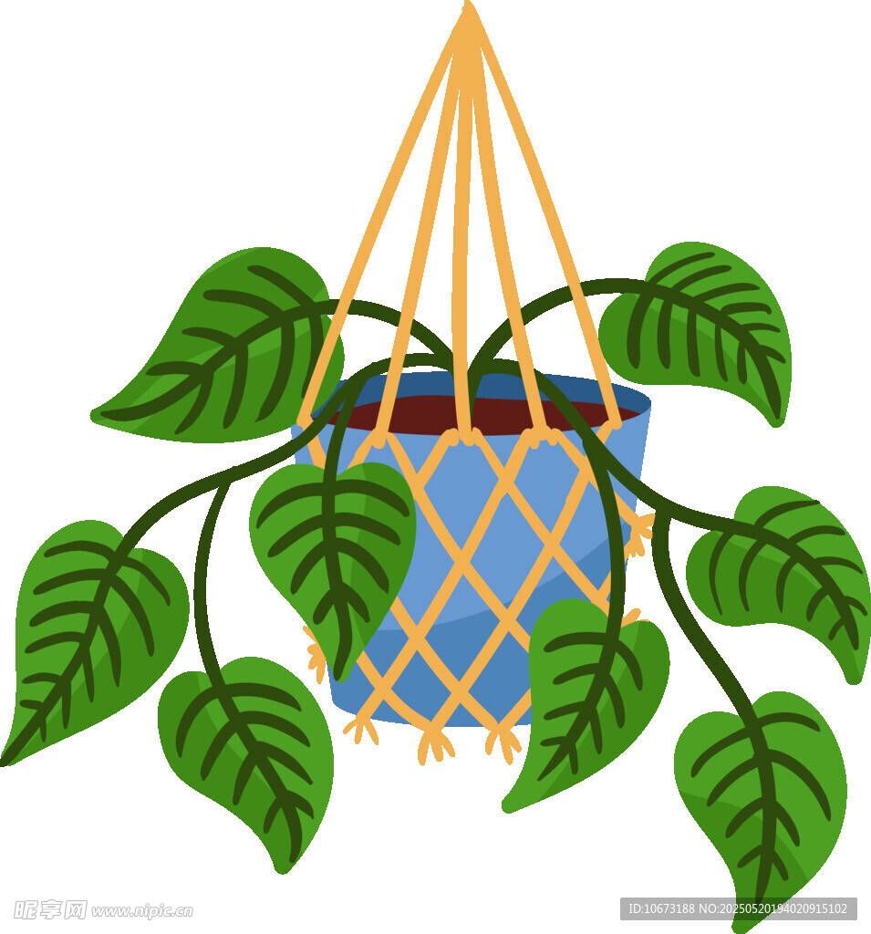 悬挂绿植盆栽插画