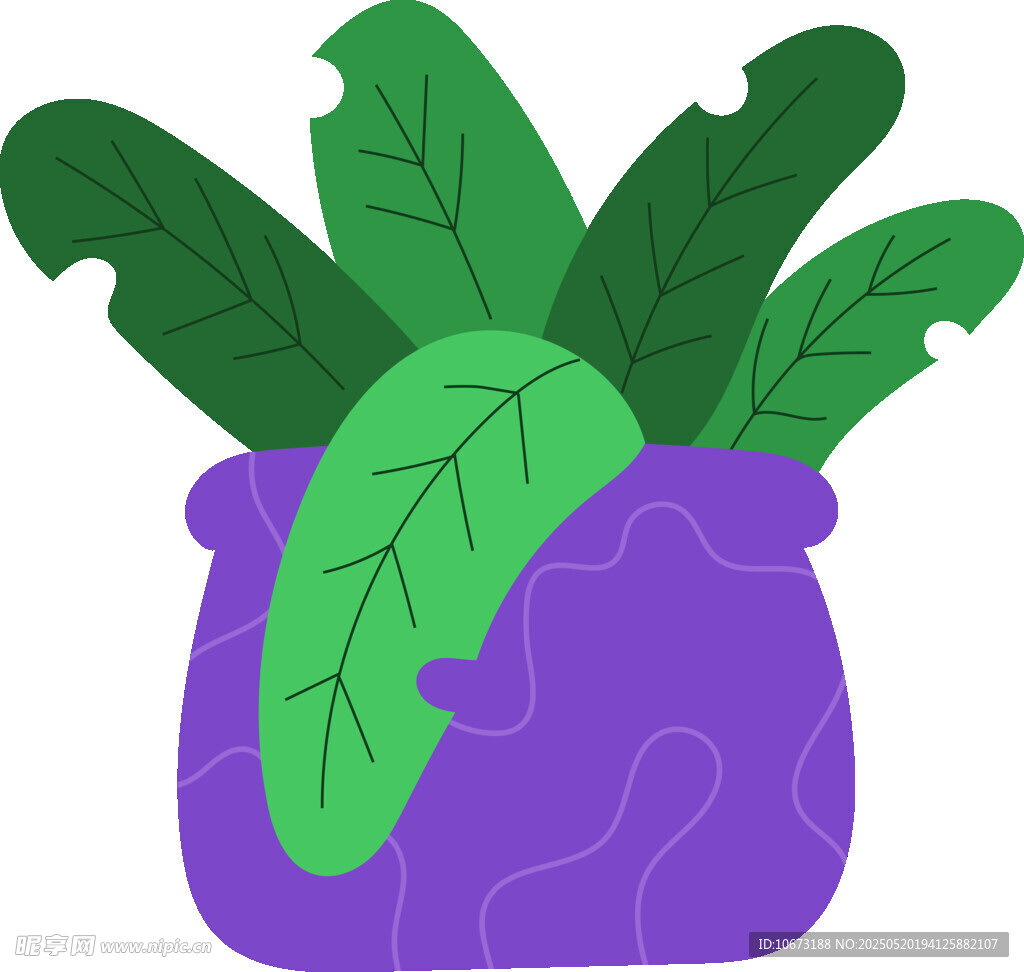 紫色花盆中的绿叶植物