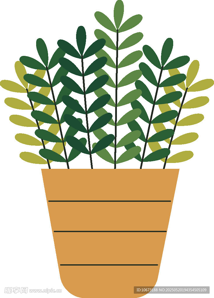 盆栽绿植插画