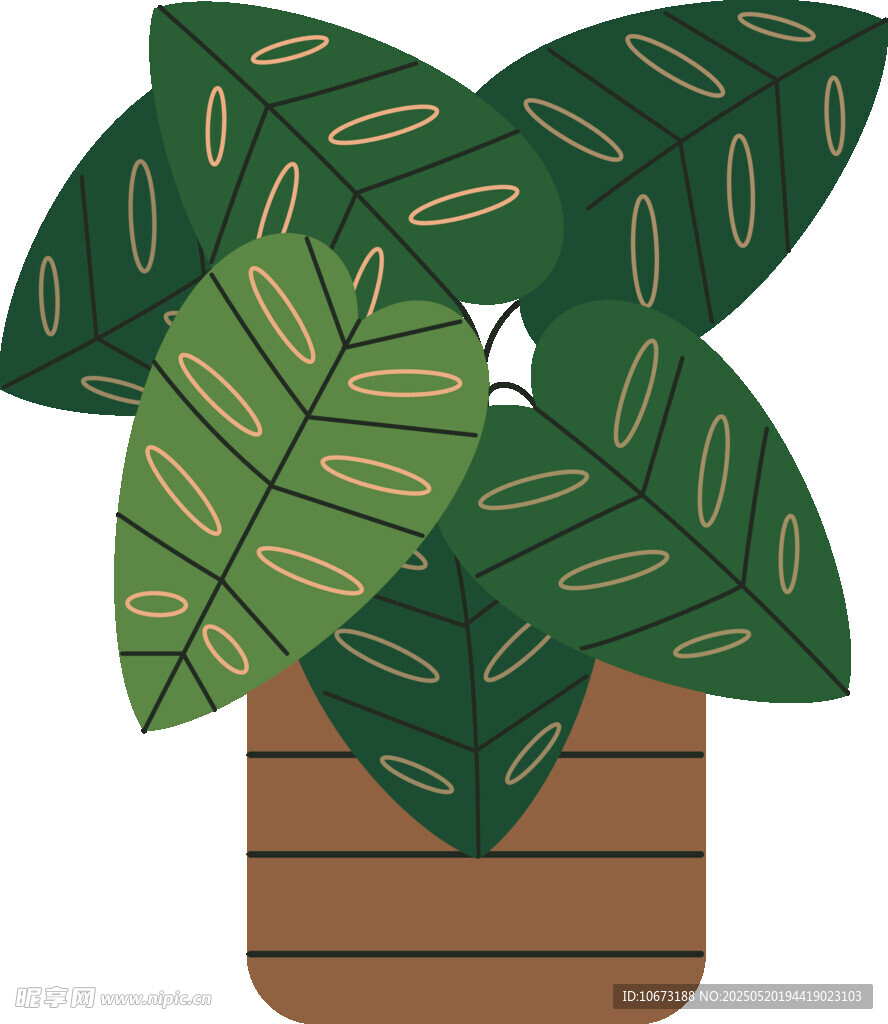 盆栽绿植插画