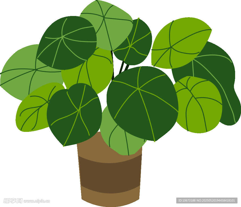盆栽绿植插画