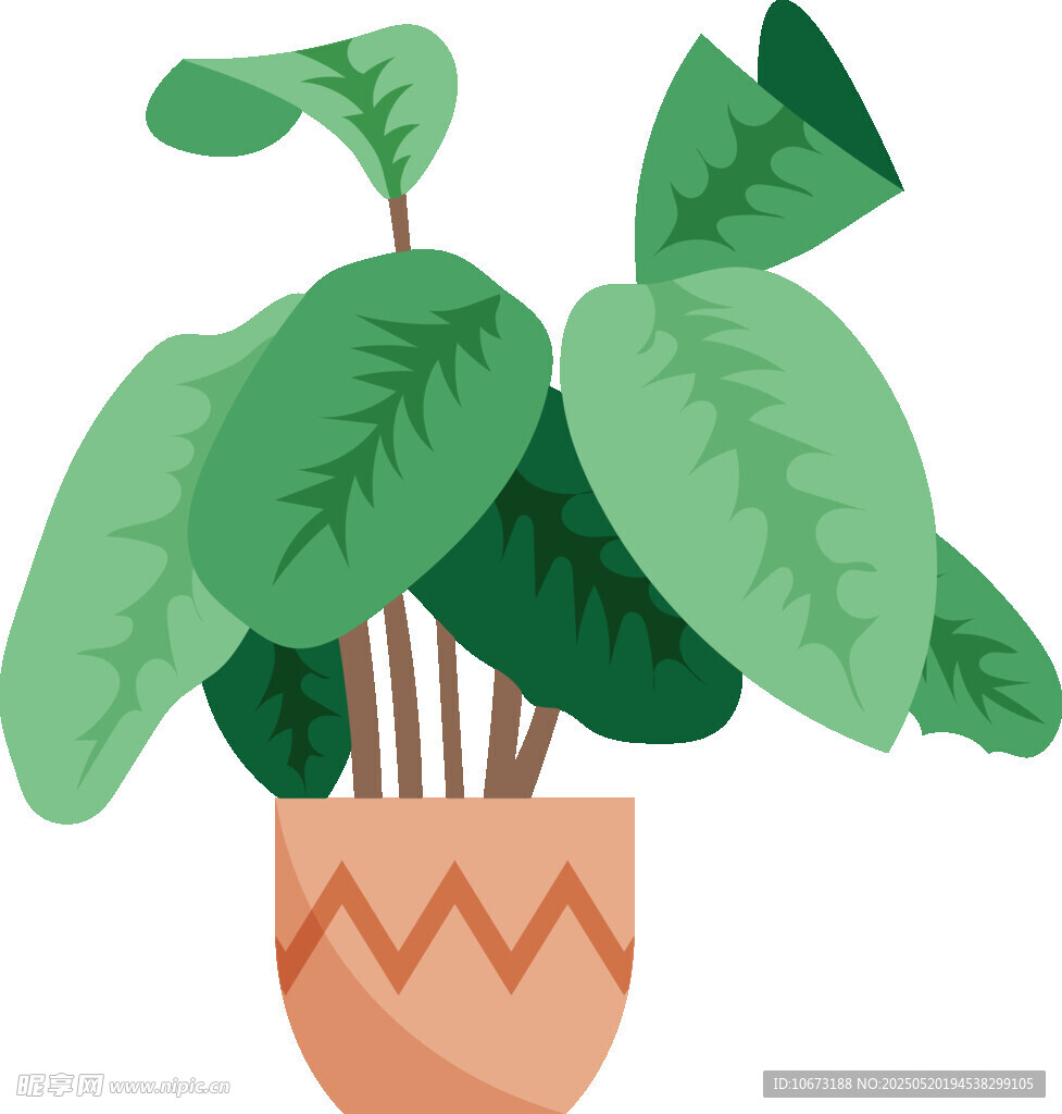 盆栽绿植插画