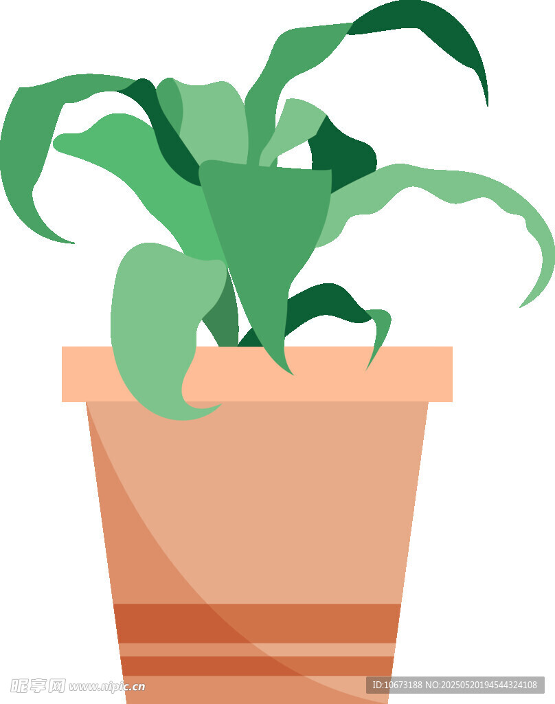 盆栽绿植插画
