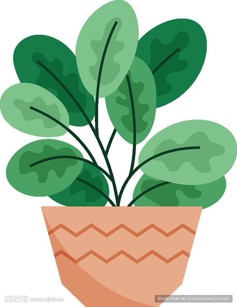 盆栽绿植 清新自然小植物