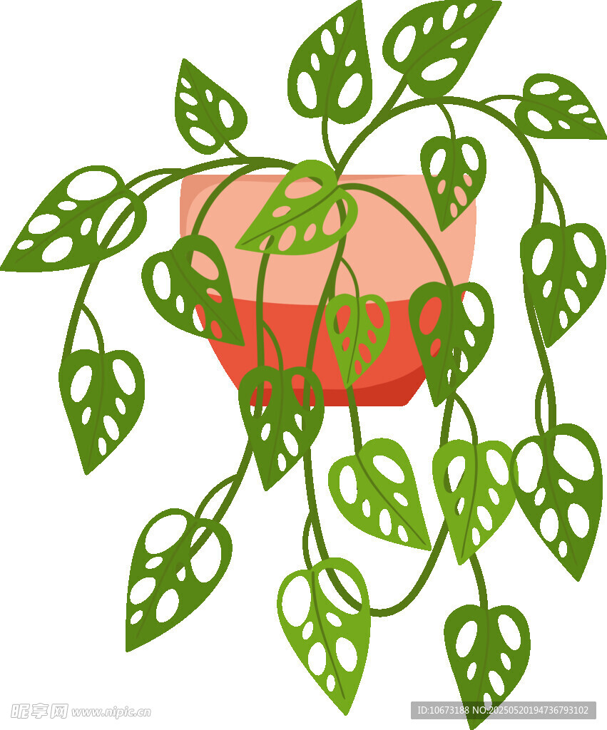 悬挂绿植盆栽插画