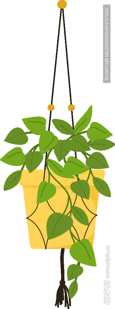 悬挂绿植盆栽