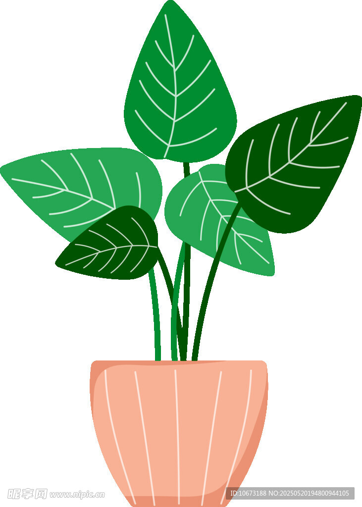 盆栽绿植插画