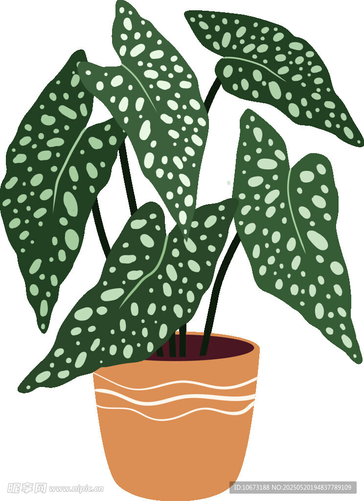 盆栽白点植物插画