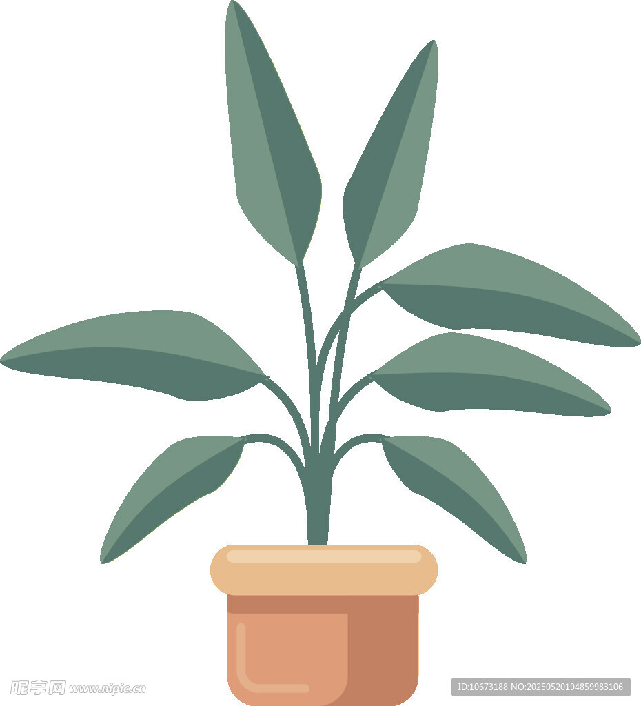 盆栽绿植插画