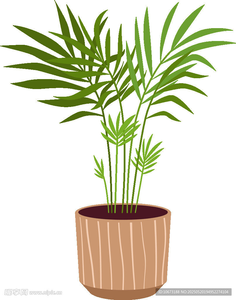 盆栽绿植 清新室内小植物