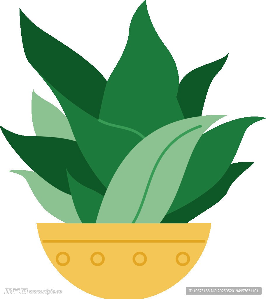 盆栽绿植插画