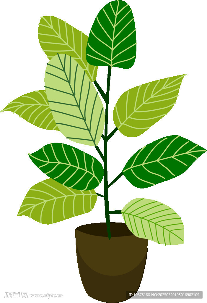 盆栽绿植插画