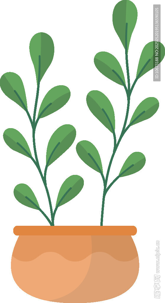 盆栽绿植 清新小植物