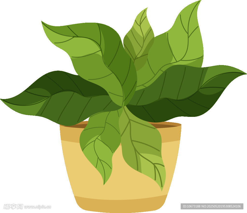 盆栽绿植插画