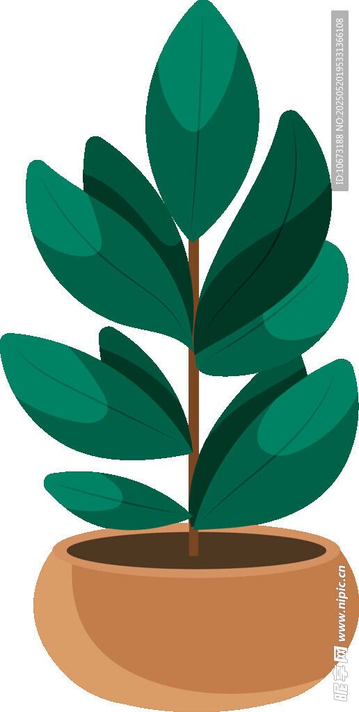 盆栽绿植 清新室内小植物
