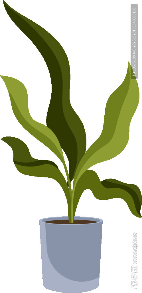 盆栽绿植 清新室内小植物