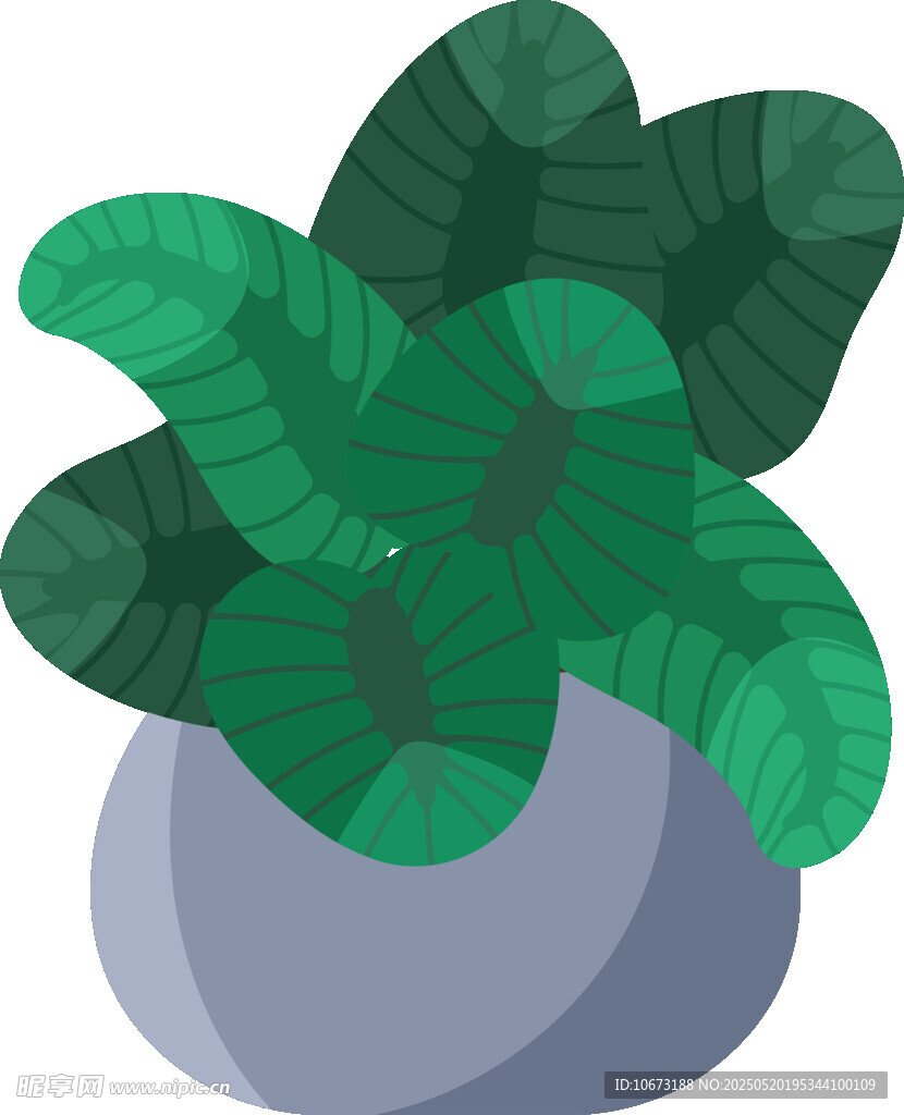 盆栽绿植插画