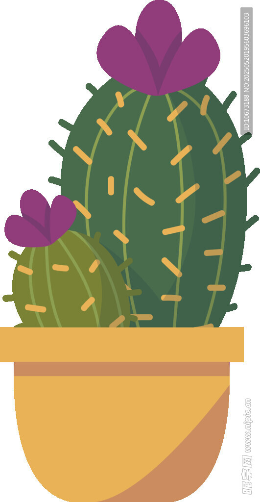 盆栽仙人掌植物插画
