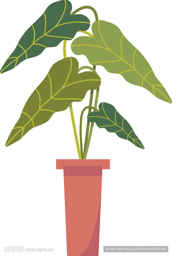 盆栽绿植插画