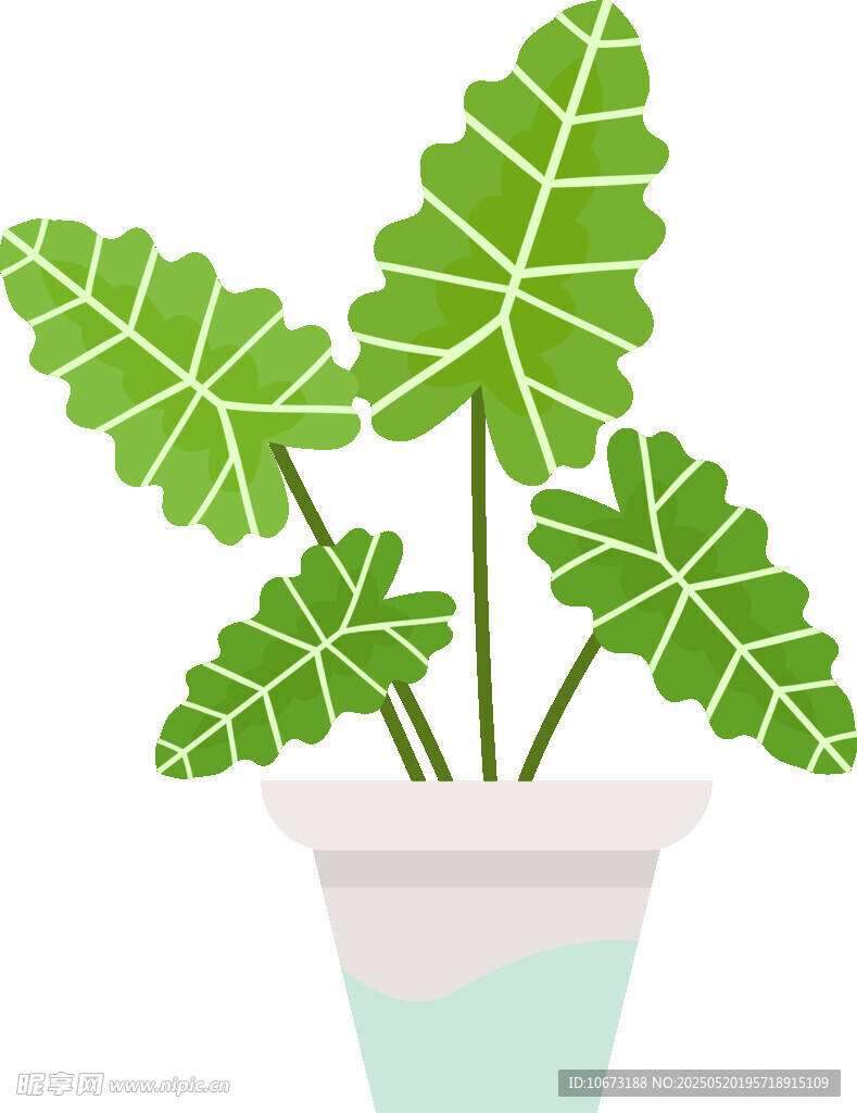 盆栽绿植插画