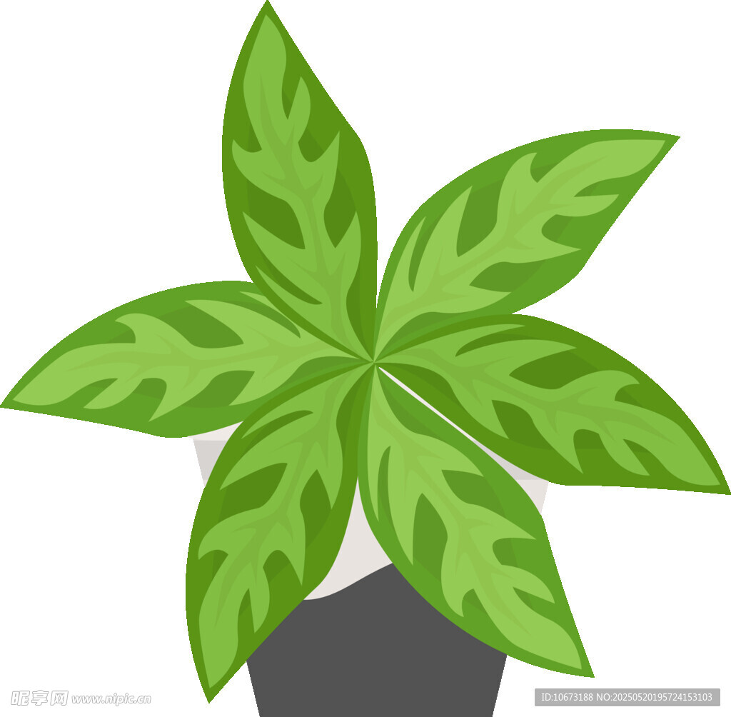 盆栽绿植插画