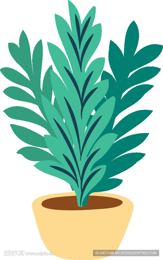 盆栽绿植 清新室内小植物