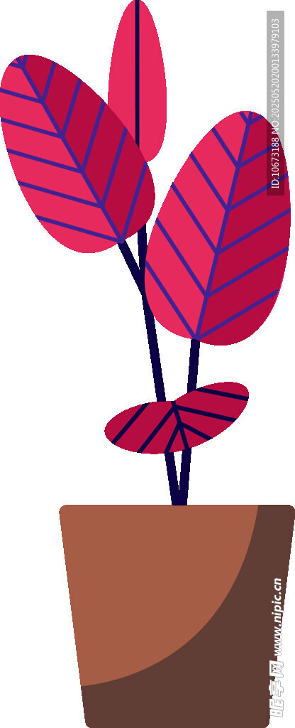 红纹盆栽植物