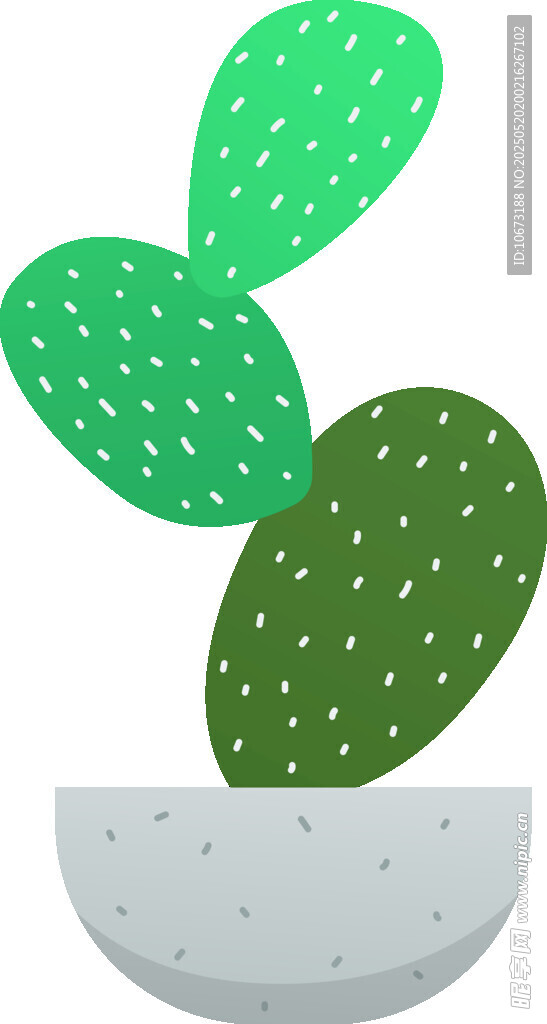 简约风盆栽仙人掌插画