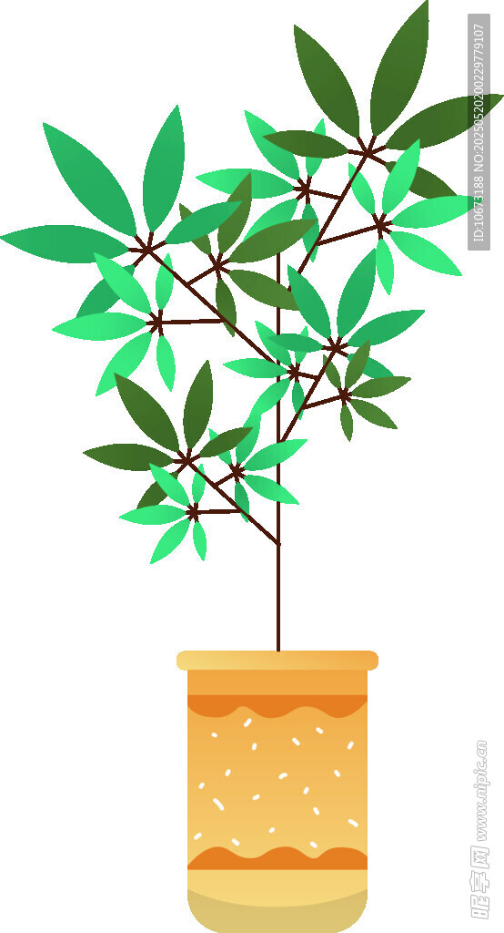盆栽绿植 简约清新小盆景