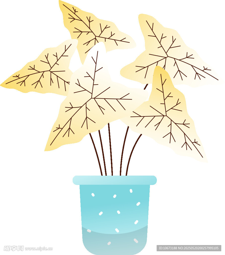 盆栽植物插画
