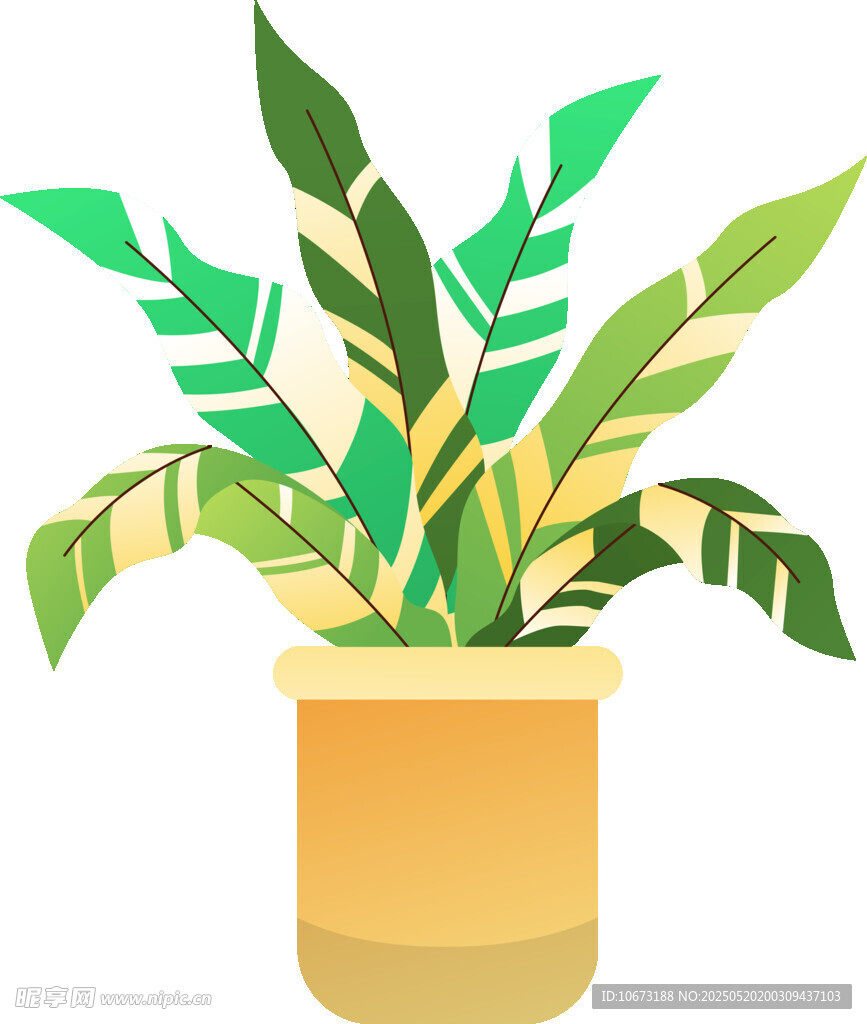盆栽绿植插画