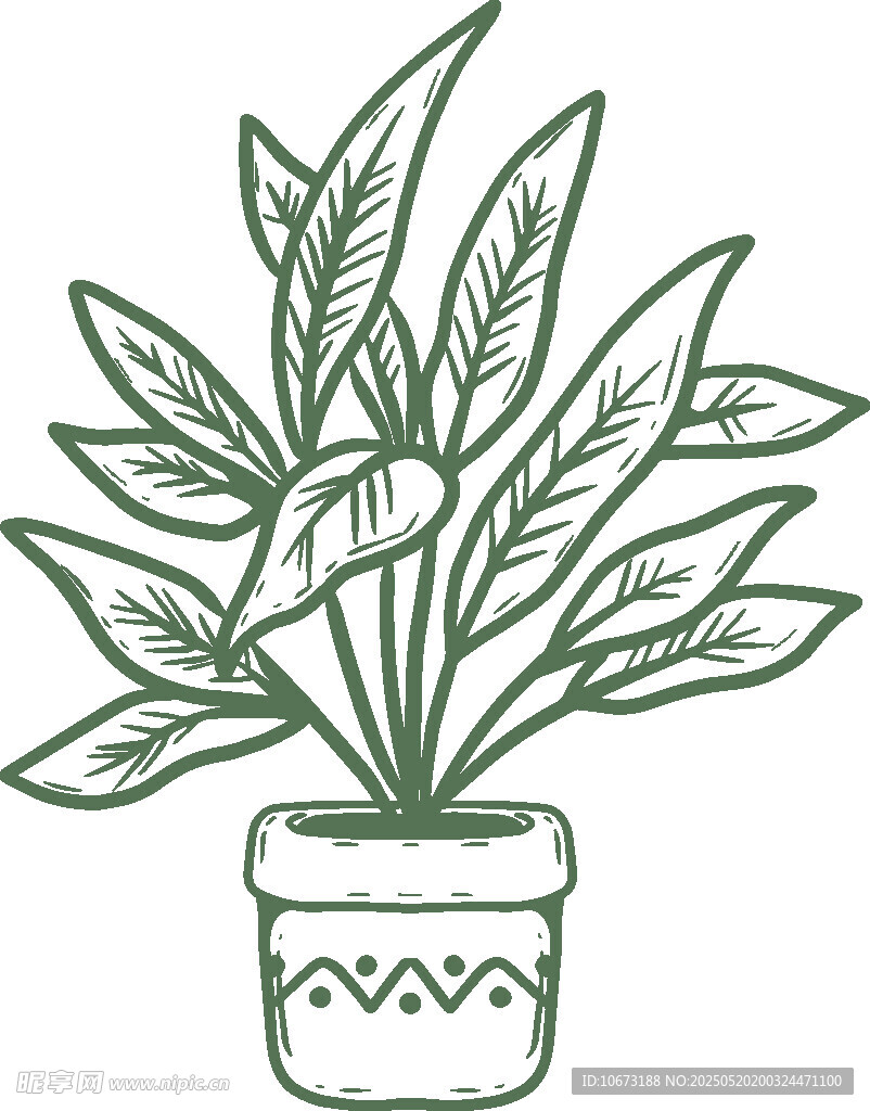 手绘盆栽绿植插画