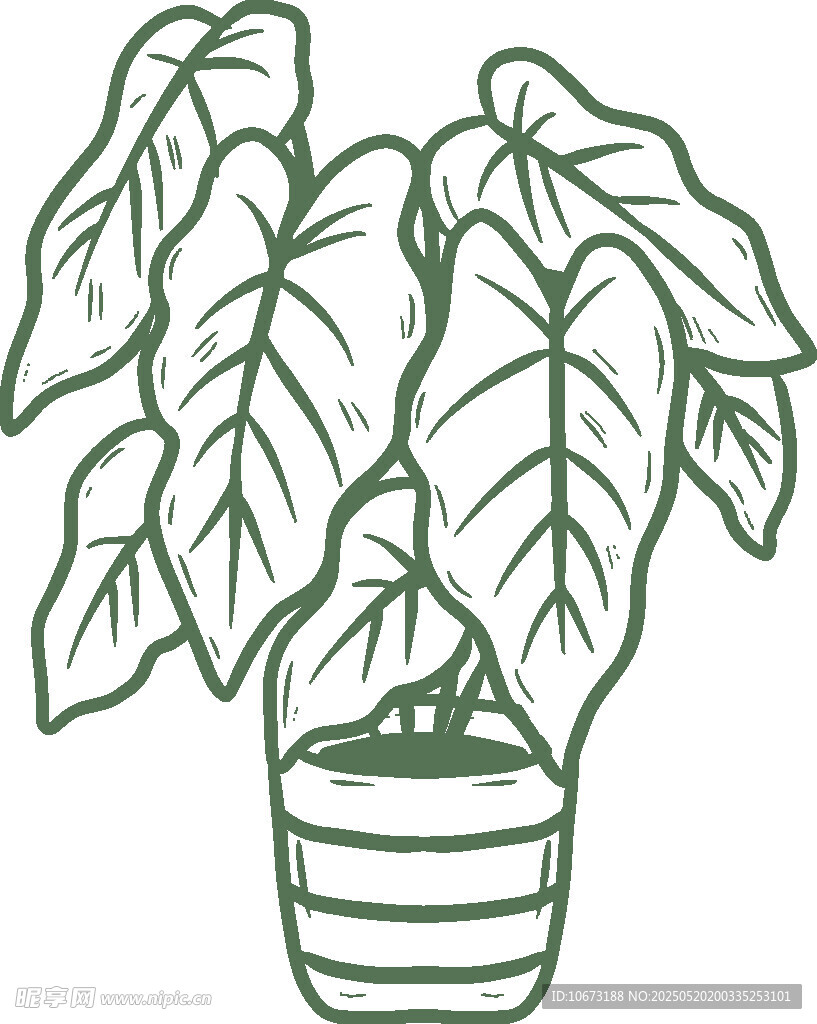 盆栽绿植插画