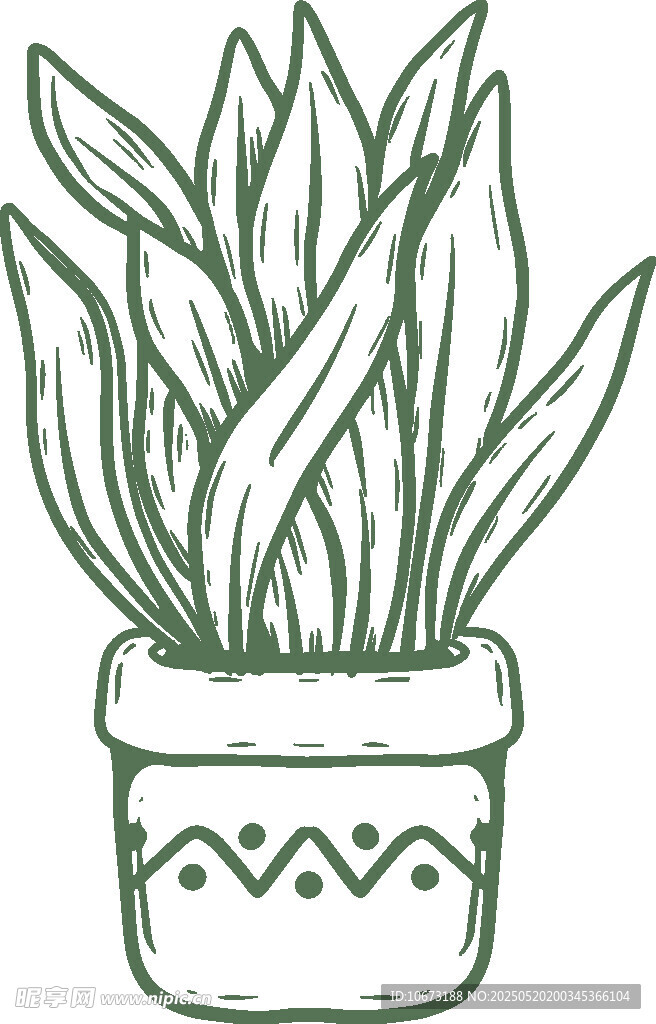 手绘盆栽植物插画