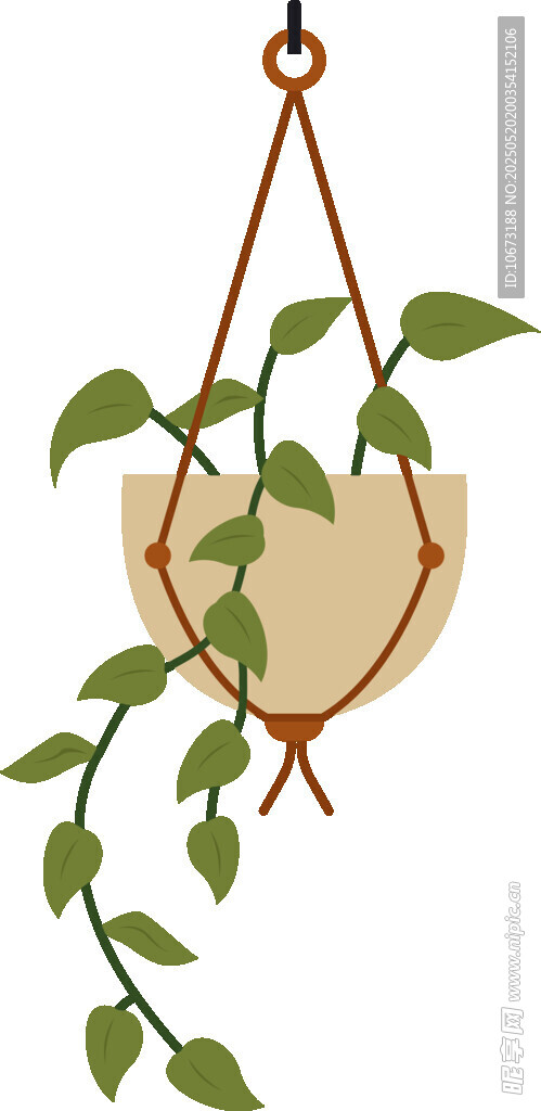 悬挂绿植盆栽