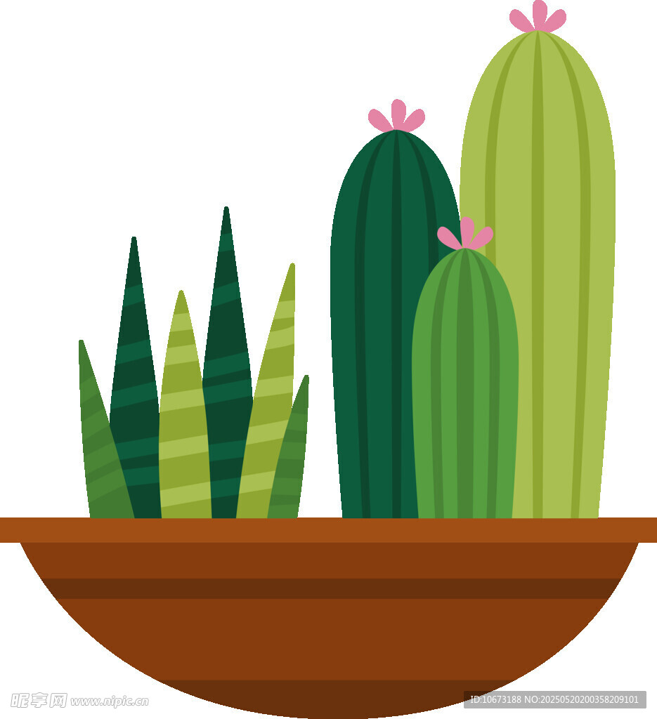 盆栽仙人掌植物插画