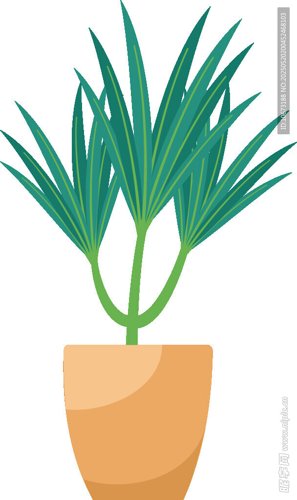 盆栽绿植 清新室内小植物
