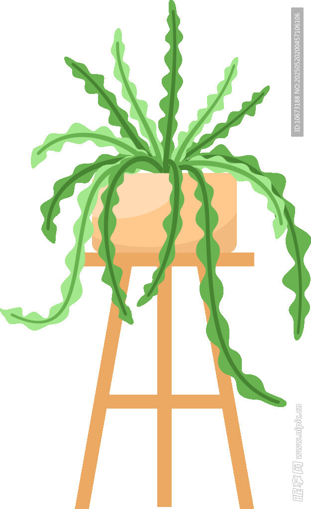 木架上的垂吊绿植