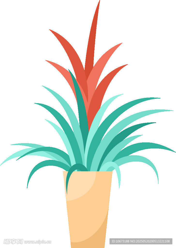 盆栽绿植插画