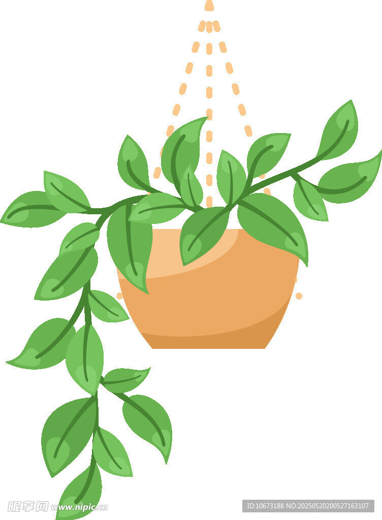 悬挂绿植盆栽