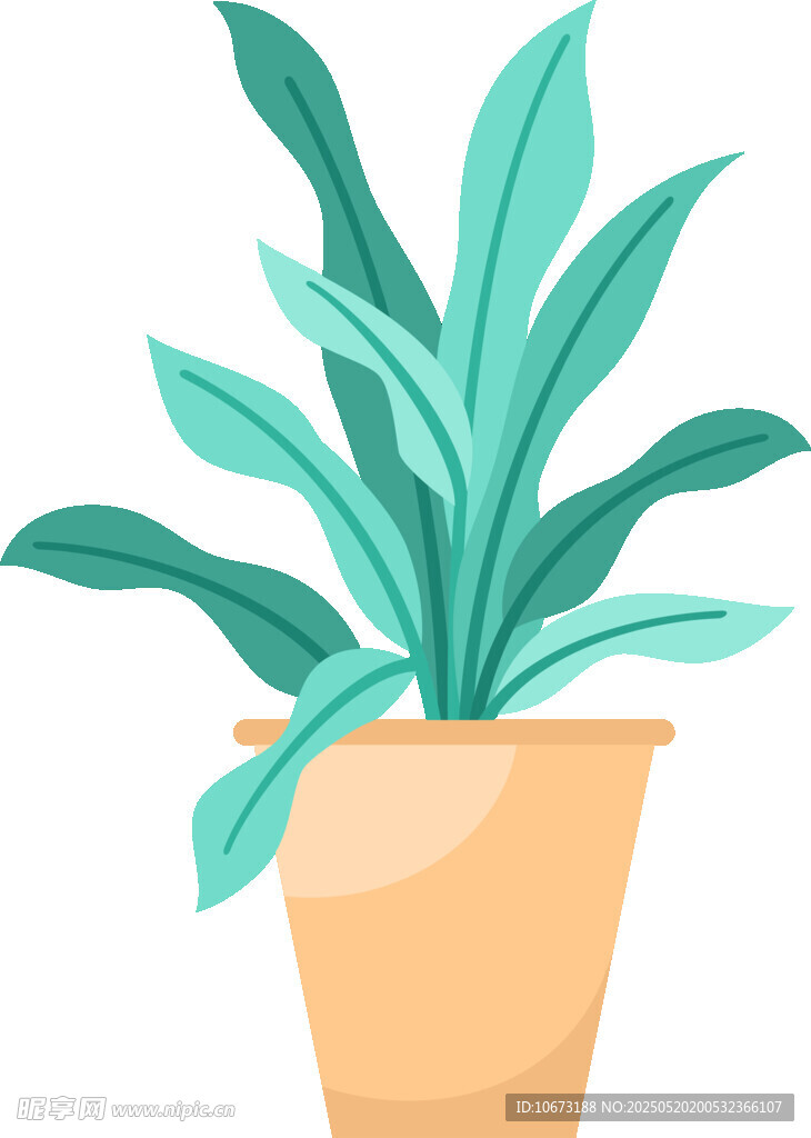 盆栽绿植 清新室内小植物