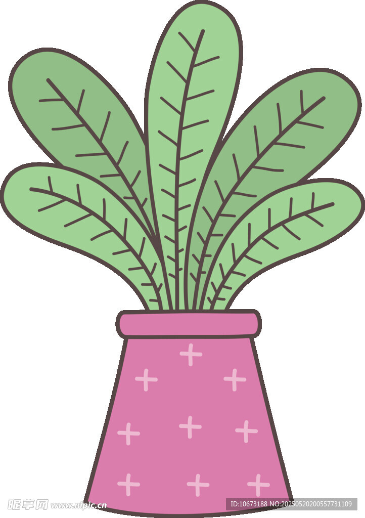 粉色花盆中的绿叶植物