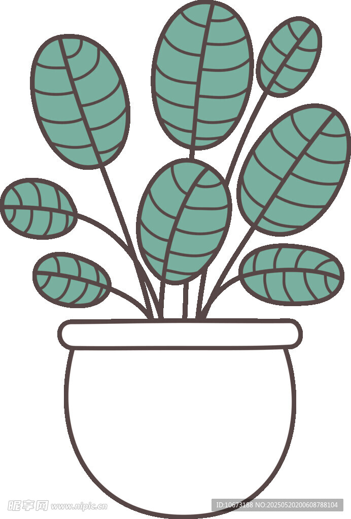 盆栽绿植插画