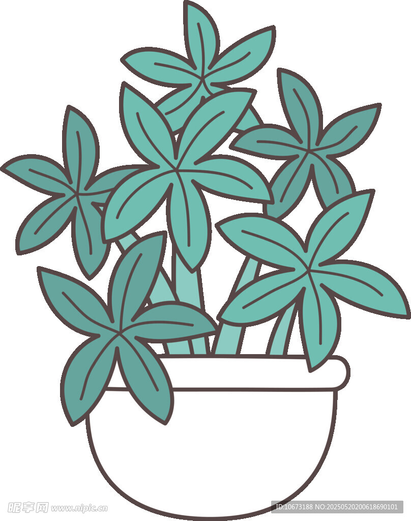 盆栽绿植插画