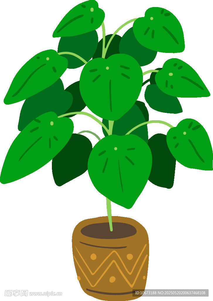 盆栽绿植 清新室内装饰植物
