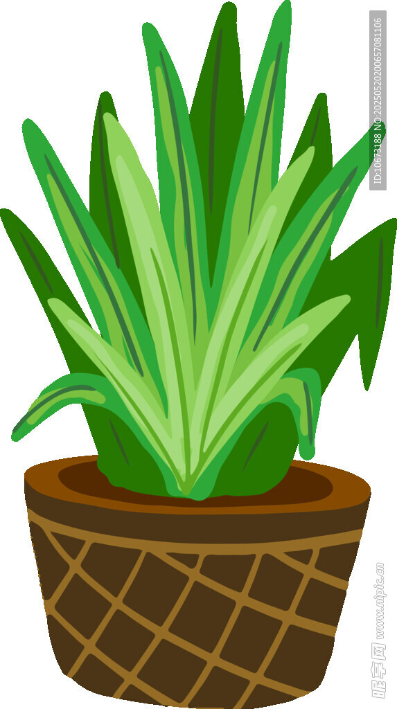 盆栽绿植芦荟清新画面