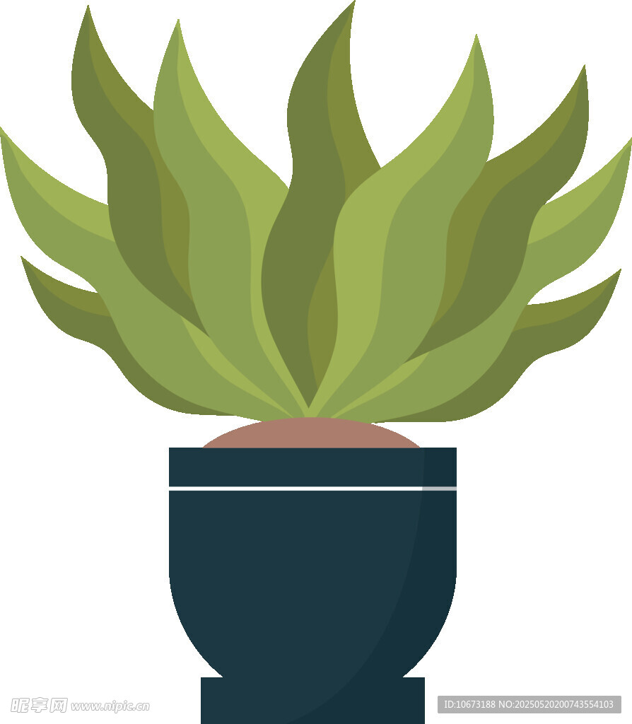 盆栽绿植插画