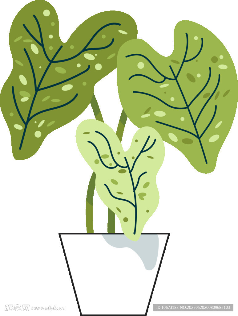 盆栽绿植插画