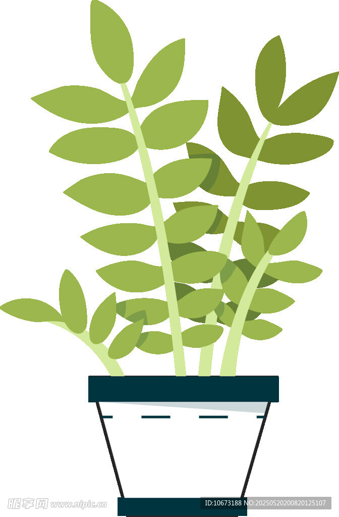 盆栽绿植插画